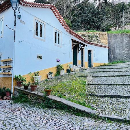 Вилла Pe Do Castelo Casinha - Pet Friendly & Garage Томар Экстерьер фото