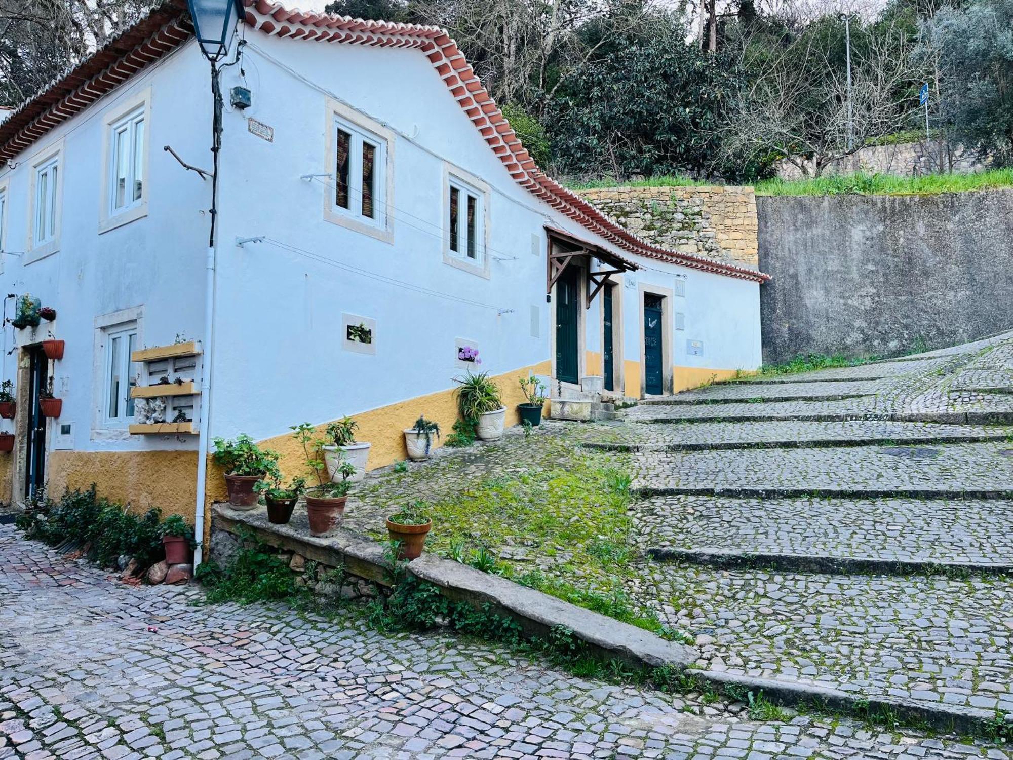 Вилла Pe Do Castelo Casinha - Pet Friendly & Garage Томар Экстерьер фото